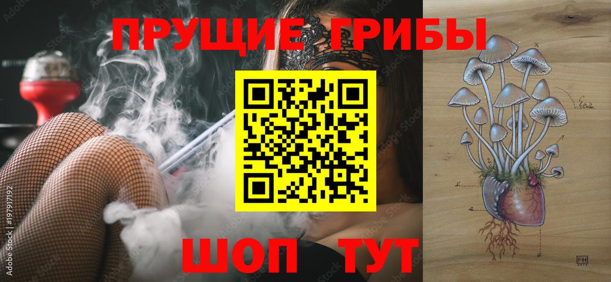 Галлюциногенные грибы мицелий  Вход с VPN  Новоалександровск 