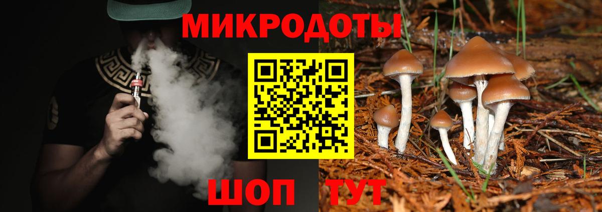 Псилоцибиновые грибы мицелий Новоалександровск